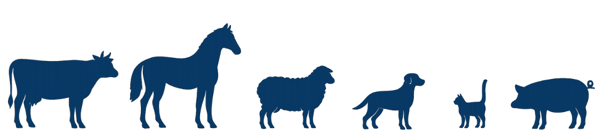 Icons in the shape of a cow, a horse, a sheep, a dog, a cat, and a pig