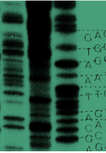 Microbial Genomics Omslag Microbial Genomics