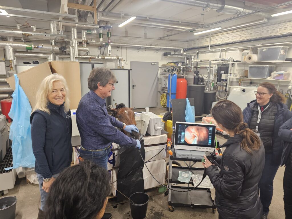 Intervacc and Mälaren Equine Clinic Hosted Specialist-Approved Strangles Course