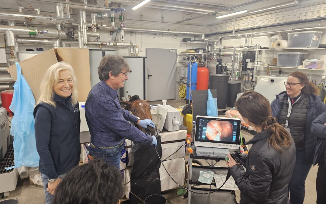 Intervacc and Mälaren Equine Clinic Hosted Specialist-Approved Strangles Course