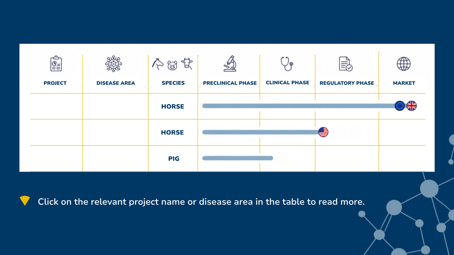 Intervacc's development pipeline