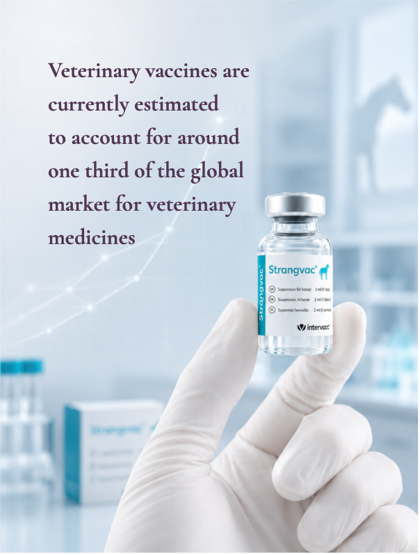 Vial i nypa med herotext eng A hand holding a medicine bottle, with the text: Veterinary vaccines are currently estimated to account for around a third of the global veterinary pharmaceuticals market