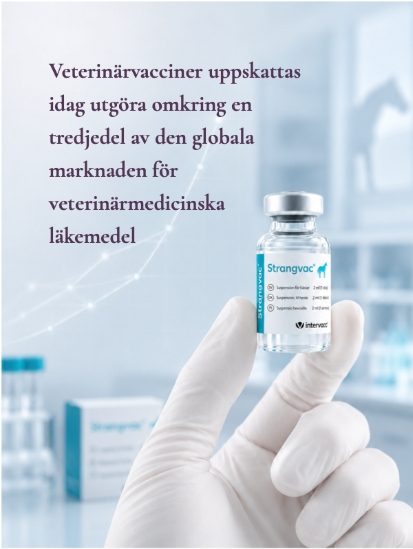 Vial i nypa med herotext En hand håller i en medicinflaska, i bilden finns texten Veterinära vacciner uppskattas idag utgöra omkring en tredjedel av den globala marknaden för veterinärmedicinska läkemedel